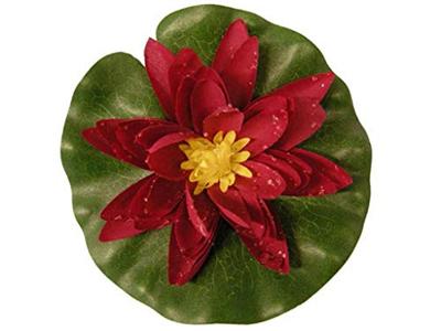 Ubbink Waterlelie 14cm rood Ubbink Waterlelie 14cm rood