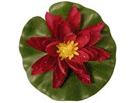 Ubbink Waterlelie 14cm rood - thumbnail