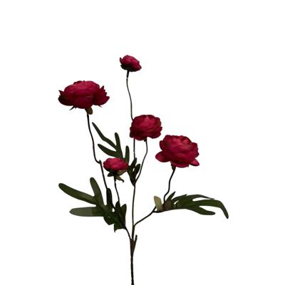 Roberts Collection Kunstbloem ranonkel bordeauxrood 52cm