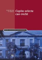Capita selecta cao-recht - E. Verhulp, R.M. Beltzer - Paperback (9789089746993) - thumbnail