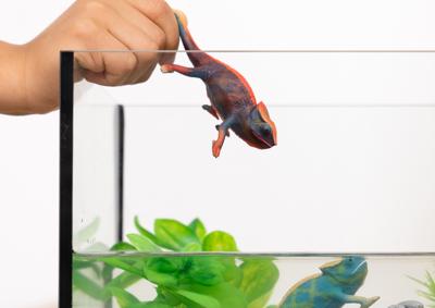 Schleich Wild Life Kameleon