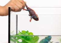 Schleich Wild Life Kameleon - thumbnail