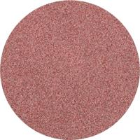 PFERD TOOLS CDR 50 A 80 FORTE 42771508 Schuurblad Korrelgrootte (num) 80 (Ø) 50 mm 100 stuk(s) - thumbnail