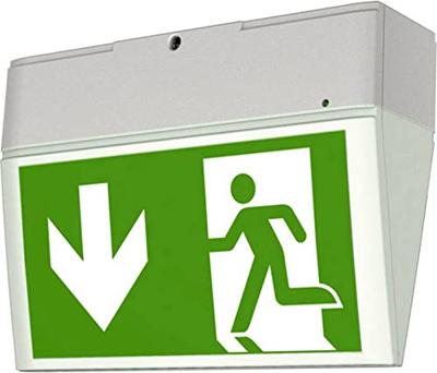 CEAG 40071354900 LED-vluchtwegverlichting Plafondopbouwmontage, Wandopbouwmontage Links, Rechts, Naar beneden
