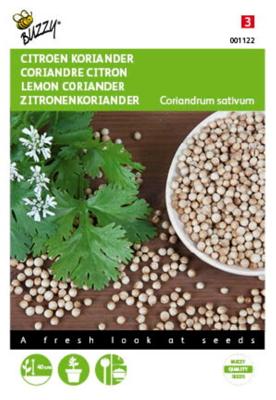Zaden Koriander Citroen laag Buzzy - Buzzy