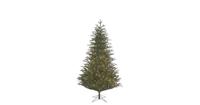 Frasier Kerstboom inclusief led d124 x h185cm - thumbnail