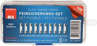 Max Hauri 128449 Buiszekering assortiment (Ø x l) 5 mm x 20 mm Snel -F- Inhoud 100 stuk(s) - thumbnail