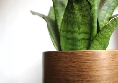 Capi Pot bol Retro 24x21 goud