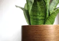 Capi Pot bol Retro 24x21 goud - thumbnail