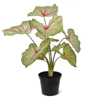 Caladium White Queen 45 cm - Kunstplant - thumbnail