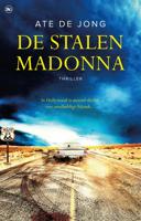De stalen Madonna - Ate de Jong - ebook - thumbnail