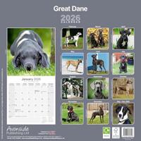 Great Dane (Euro) Calendar 2026 Square Dog Breed Wall Calendar - 16 Month - thumbnail