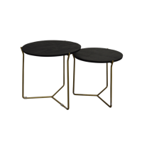 Mason Black/Brass Set of 2-12219 - thumbnail