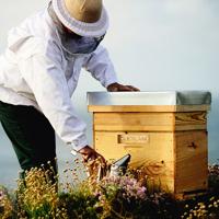 Guerlain Abeille Royale Cleansing Oil 150ml Make-up verwijderaar en reiniger - thumbnail