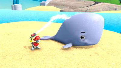 Paw Patrol On a Roll Paw Patrol On a Roll