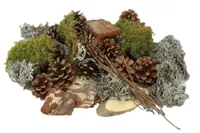 Forrest mix Large - thumbnail