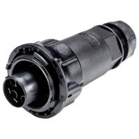 Wieland Electric 97.041.4053.1 Steekverbinder - thumbnail