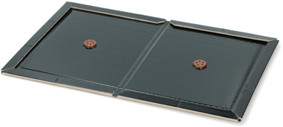 Insecten Lijmplaat Zwart Insecten Lijmplaat Zwart