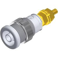 SKS Hirschmann SEB 2600 G M4 Veiligheids-labconnector, female Bus, inbouw verticaal Stift-Ø: 4 mm Wit 1 stuk(s) - thumbnail