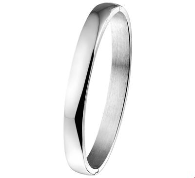 TFT Slavenband Staal Massief Scharnier 8 X 60 mm