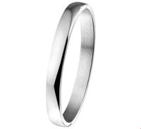 TFT Slavenband Staal Massief Scharnier 8 X 60 mm - thumbnail