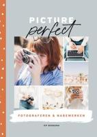 Picture perfect - Iep Bergsma - ebook - thumbnail