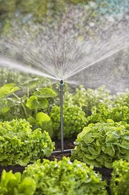 Initiatieset voor GARDENA moestuinen - tot 60m² - 13450-20 - thumbnail