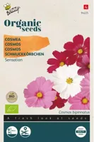 Organic Cosmos Sensation (Bio) zaden Buzzy - Buzzy - thumbnail
