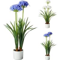 Kunstplant Agapanthus 50x80 cm Blauw/Wit Verschillende Uitvoeringen - thumbnail