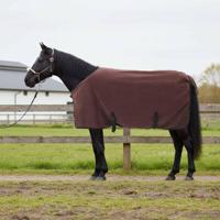 VidaXL Paardendeken volledig donkerbruin polyester - thumbnail