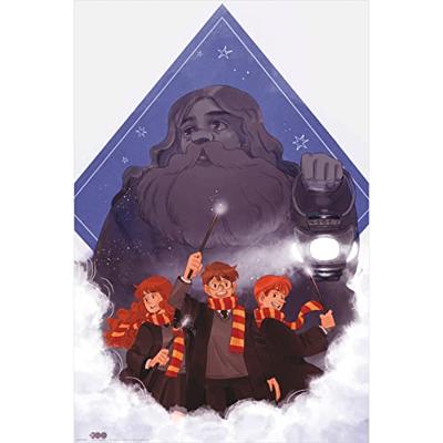 Poster Harry Potter - Hagrid Warner 100th 61x91,5cm