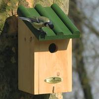 Vogelbescherming Nederland nestkast toronto - thumbnail