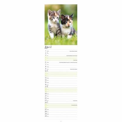 Kittens Kalender 2026 Slimline