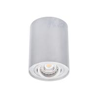 Opbouwspot rond - Bord1 - Aluminium - Kantelbaar - Ø95x125mm - thumbnail