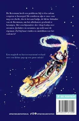 Het allerlaatste kerstcadeau