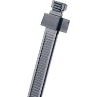 Panduit SST2S-C0 SST2S-C0 Kabelbinder 172 mm 4.60 mm Zwart Voor eengatmontage 1 stuk(s) - thumbnail