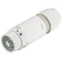 Wieland Electric 46.052.4554.0 Ronde connector Stekker, recht Totaal aantal polen: 3 + PE Serie (ronde connectoren): RST® MINI 1 stuk(s) - thumbnail