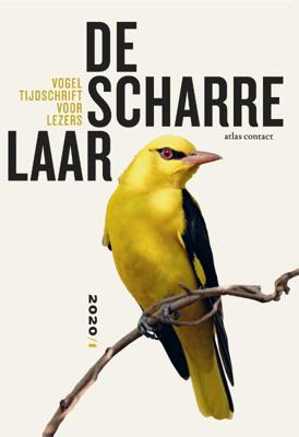 De scharrelaar (Paperback)