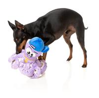 Fuzzyard octo-posse hip hoptopus pluche - thumbnail