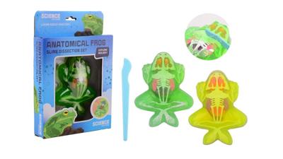 Johntoy Science explorer kikker anatomie slijm