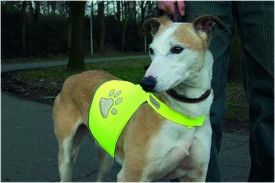 BZ SG VEILIGHEIDVEST HOND REFL GL L