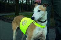 BZ SG VEILIGHEIDVEST HOND REFL GL L - thumbnail