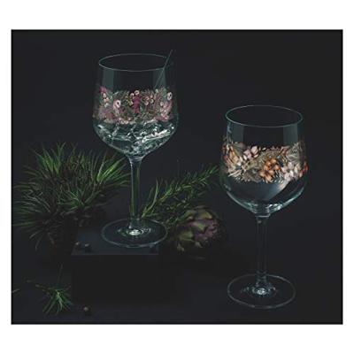 Ritzenhoff Schattenfauna Gin glazen 2 stuks Ritzenhoff Schattenfauna Gin glazen 2 stuks