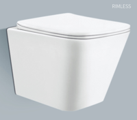 Wandcloset Aquasplash Piazza Rimless Glans Wit Aqua Splash - thumbnail