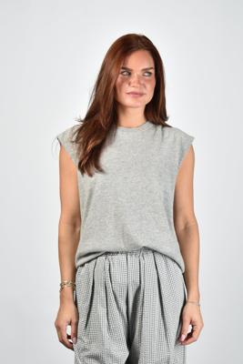 Extreme Cashmere trui Bos 455 grey