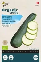 Zaden Organic Courgette Partenon F1 (BIO) Buzzy - Buzzy - thumbnail