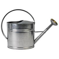 Gieter gegalvaniseerd 8 liter met broes - thumbnail