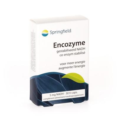 Springfield Encozyme NADH 5mg 30 Tabletten Springfield Encozyme NADH 5mg 30 Tabletten