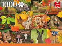 Premium Collection Dieren in de herfst 1000 stukjes - thumbnail