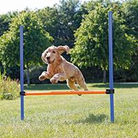 TRIXIE DOG ACTIVITY AGILITY HORDE BLAUW / ORANJE 123X115X3 CM - thumbnail